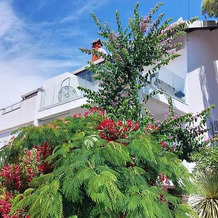 Дом отдыха House Copacabana With Sea View, Parking - Ciovo Трогир